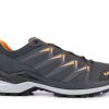 Hommes Lowa Sport | Innox Pro Gtx * Gris