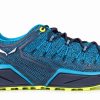 Hommes Salewa Sport | Dropline Bleu